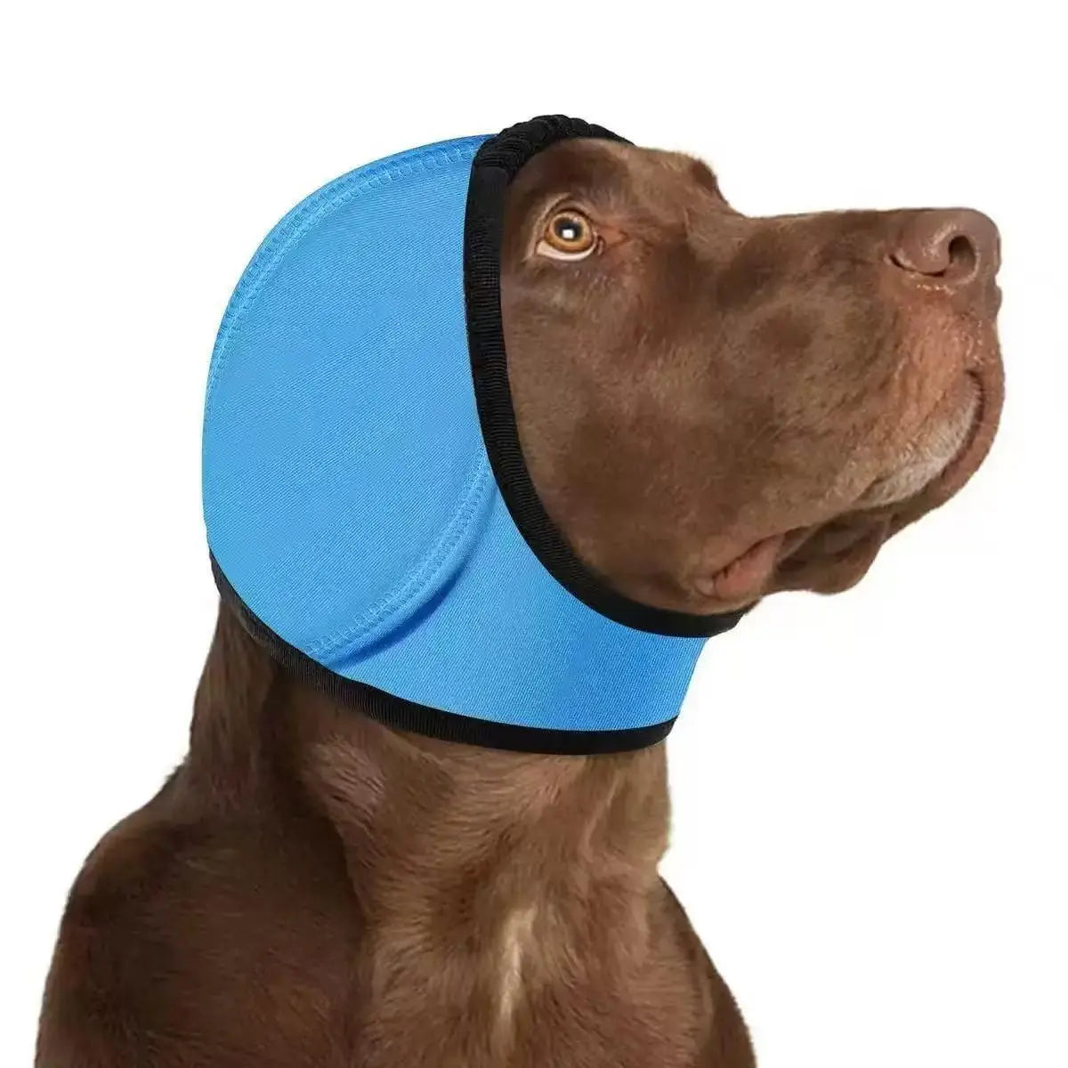Comfortable 1-Piece Water-Resistant Dog Hoodie Wrap - Keeps Ears Dry, Ear Protection for Swimming, Blow Drying, Noise Reduction for Fireworks, Grey, Grooming, Bathing