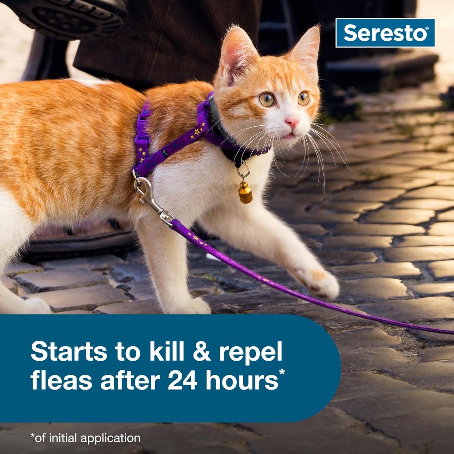 Seresto Cat Flea and Tick Prevention Collar - 8 Months of Vet-Recommended Protection for Your Feline Friend