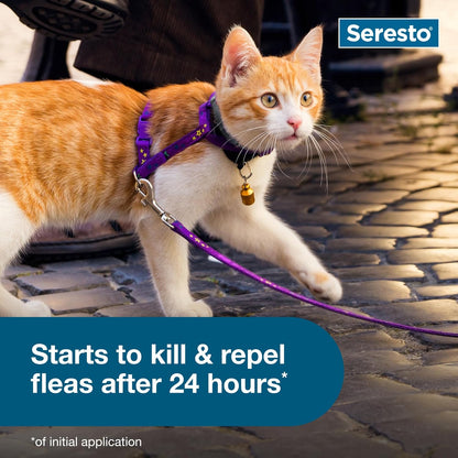 Seresto Cat Flea and Tick Prevention Collar - 8 Months of Vet-Recommended Protection for Your Feline Friend