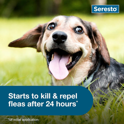 Seresto Small Dog Flea & Tick Collar - Vet-Recommended 8-Month Protection for Dogs Under 18 Lbs