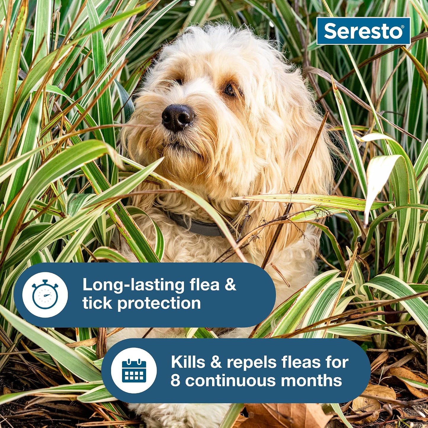 Ultimate Protection for Small Dogs: Seresto Flea and Tick Prevention Collar - Vet Recommended for Dogs Under 18 lbs | 2 Pack