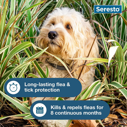 Ultimate Protection for Small Dogs: Seresto Flea and Tick Prevention Collar - Vet Recommended for Dogs Under 18 lbs | 2 Pack
