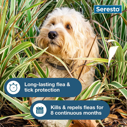 Seresto Small Dog Flea & Tick Collar - Vet-Recommended 8-Month Protection for Dogs Under 18 Lbs